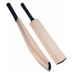 Light Weight Bat