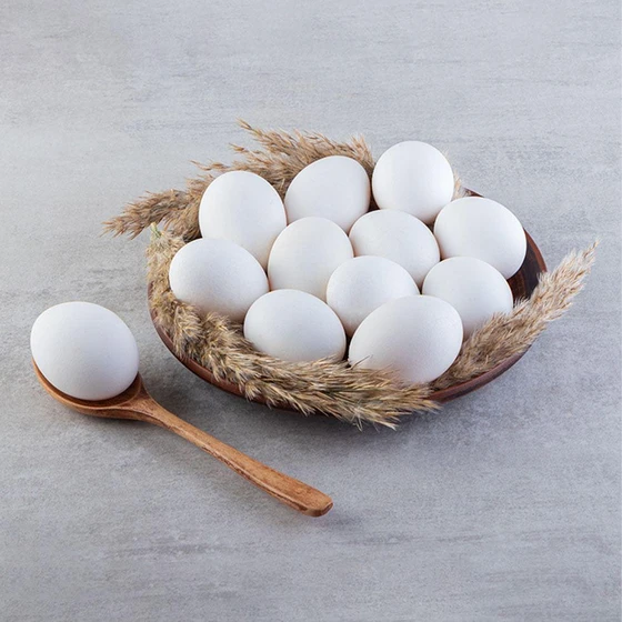 fresh-white-egg-2.webp