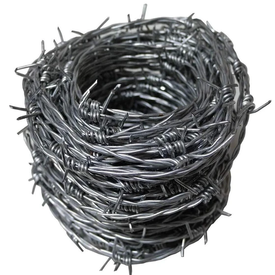 barbed-wires-2.webp