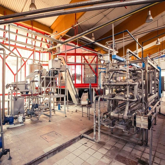 fruit-processing-plant-2.webp