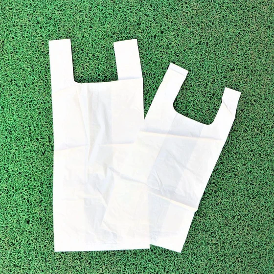 biodegradable-carry-bag-2.webp