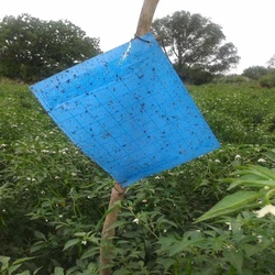 Blue Sticky Insect Trap