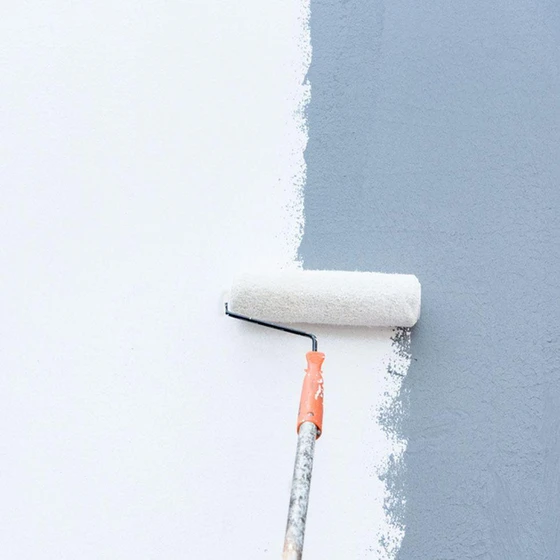 white-wall-primers-1.webp