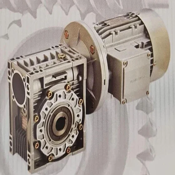 box-worm-gear-2.webp