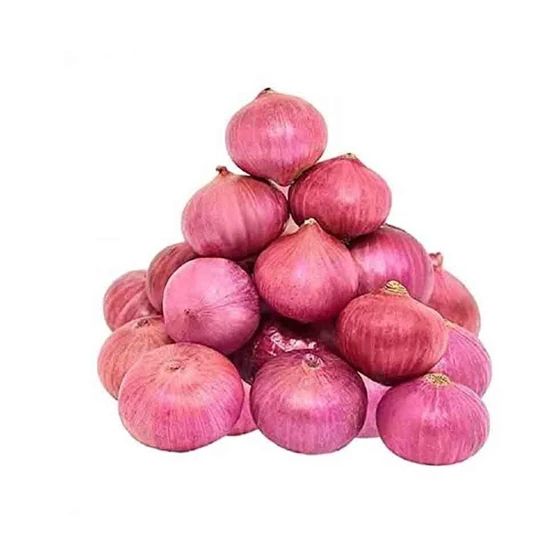 onions.webp