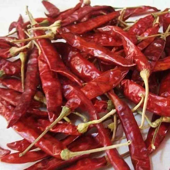 red-chilli-price.webp