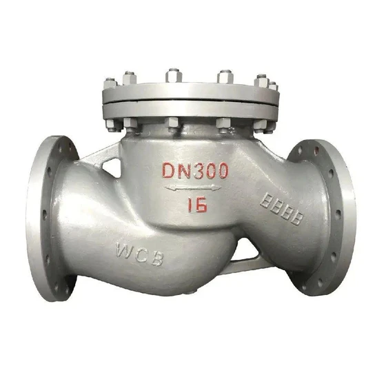manual-check-valve-1.webp