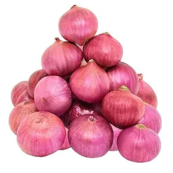 natural-fresh-onion-2.webp