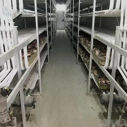 Commercial Meat Cold Room