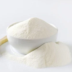 Whole Milk Powder 