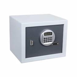 Digital Electronic Safe