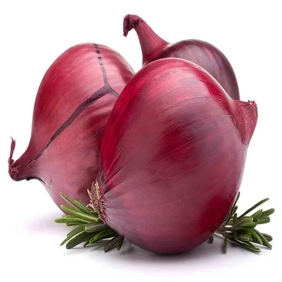 onion-rate-today-1.webp