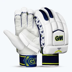 Batting Cricket Gloves