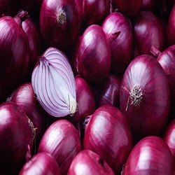 High-quality Organic Hand-Picked Onion Price Online