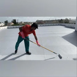 Roof Waterproofing Coating