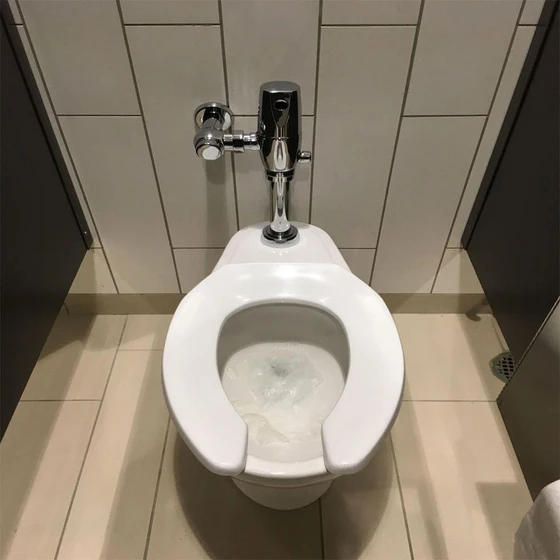 toilet-automatic-flush-2.webp