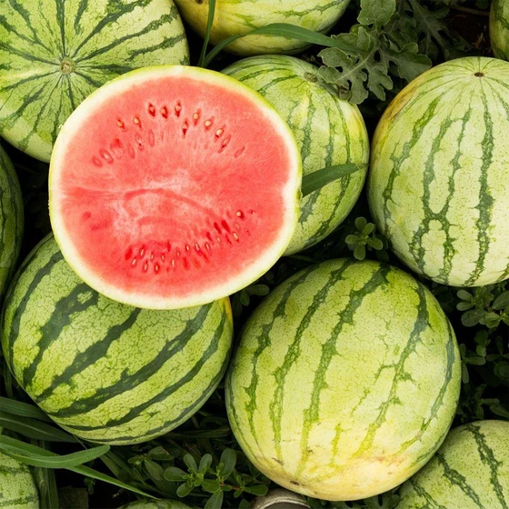 pure-watermelon-fruit-2.webp