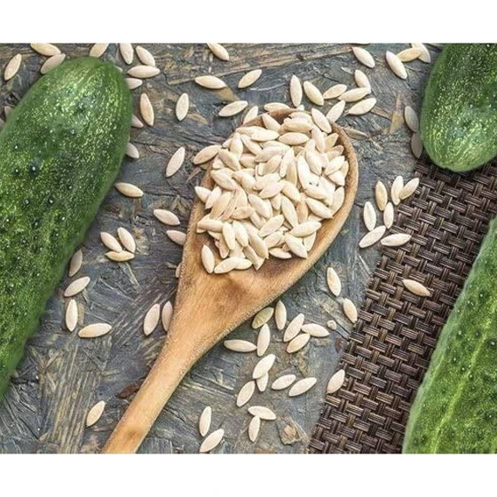 fiber-cucumber-seed-2.webp
