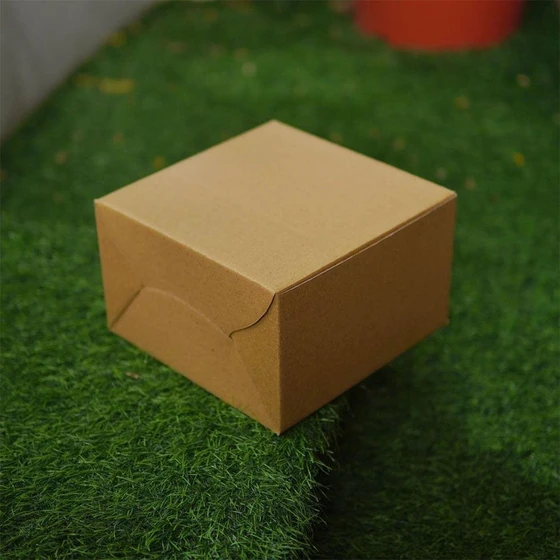 cardboard-packaging-box-2.webp