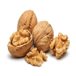 Walnut kernels