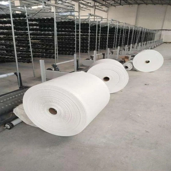 white-pp-woven-roll-2.webp
