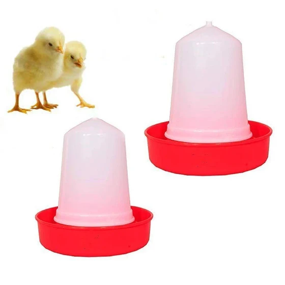 chicken-feeder-poultry-1.webp