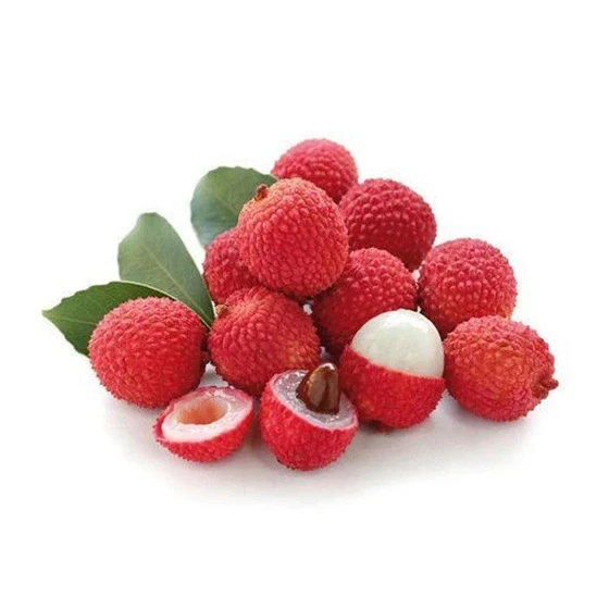 litchi-fruit-plant-1.webp