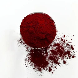 Pigment Lip Powder 