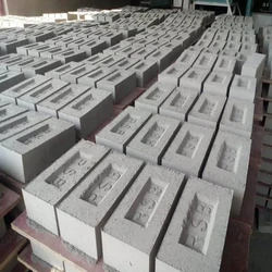 Fly Ash Cement Bricks
