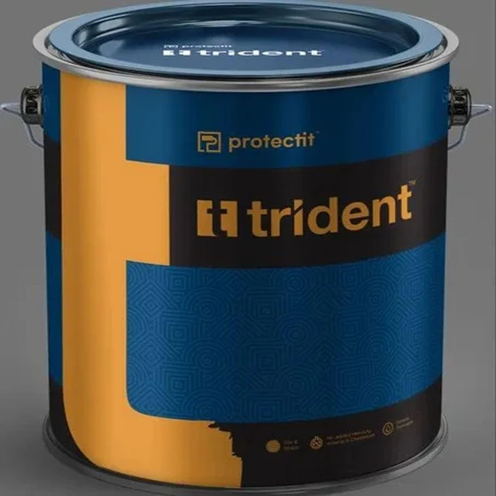 trident-epoxy-floor-paint-2.webp