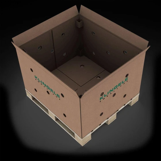 export-carton-box-2.webp