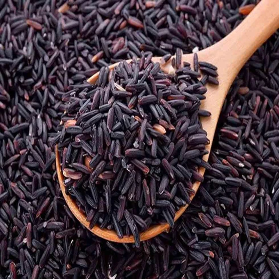 black-rice-price.webp