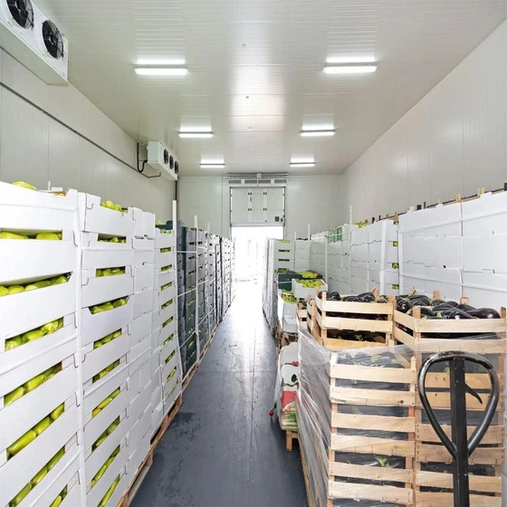 commercial-cold-storage-room-2.webp