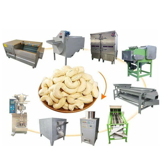 cashew-nut-processing-plant-2.webp