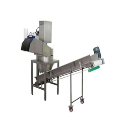 Fruit Processing Machine