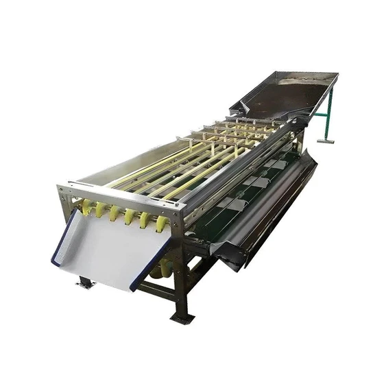 dates-grading-machine-2.webp