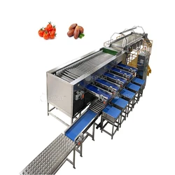 Dates Grading Machine