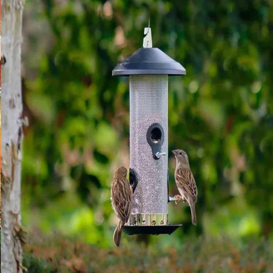 bird-feeder-hanging.webp