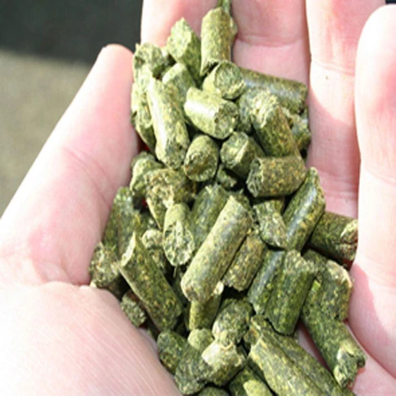 grass-pellet-feed-2.webp