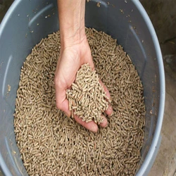 Poultry Feed Pre Starter