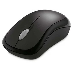 Black Computer Mouse