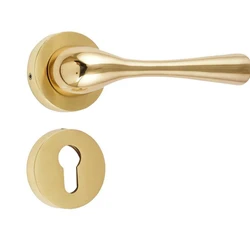 Mortise Brass Handles