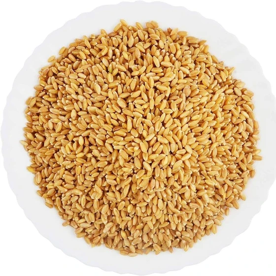 wheat-grain-2.webp