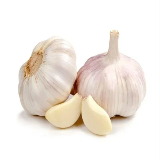 organic-fresh-garlic-1.webp