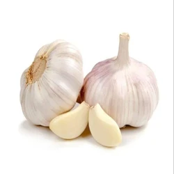 Organic Fresh Garlic