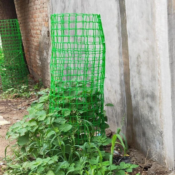 plastic-tree-guard-2.webp