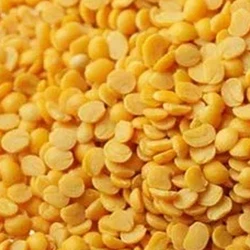 Order Wholesome Nutritious Healthy Toor Dal Health Benefits