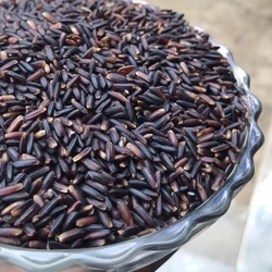 Organic Black Rice
