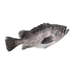 Grouper Dressed Fish