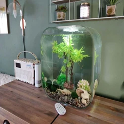 Designer Fish Bowl